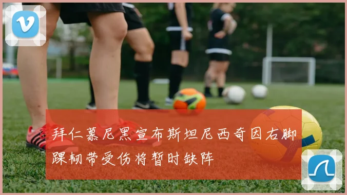 拜仁慕尼黑宣布斯坦尼西奇因右脚踝韧带受伤将暂时缺阵