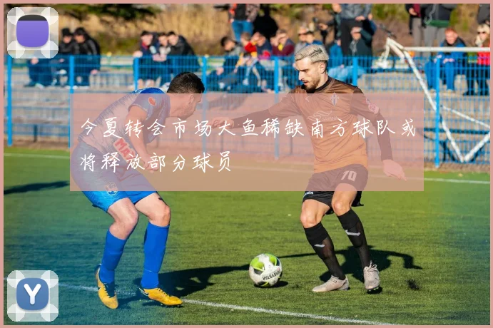今夏转会市场大鱼稀缺南方球队或将释放部分球员